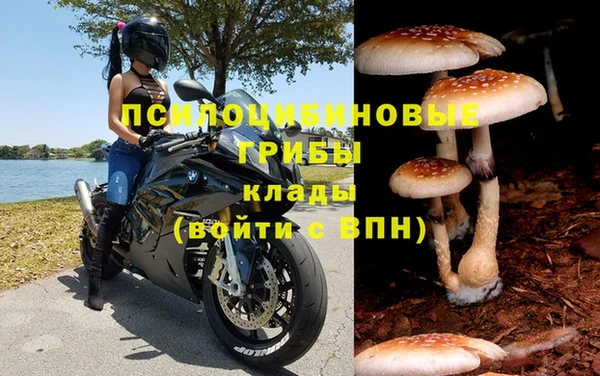 экстази Белокуриха