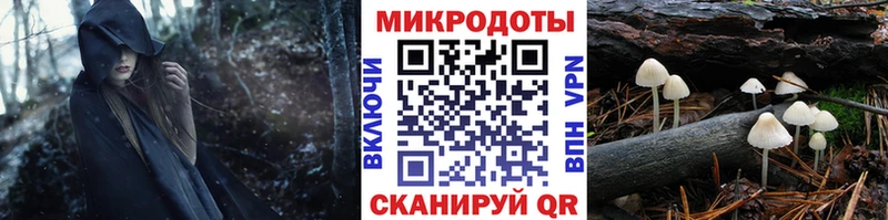 Галлюциногенные грибы Cubensis  Мыски 
